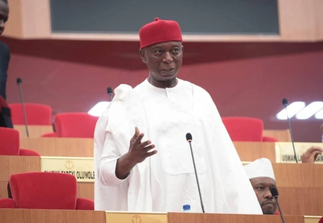 Ned Nwoko addresses Nigeria’s Senate during a Delta North political dispute.
